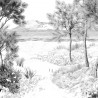 PANORAMIQUE DUNES