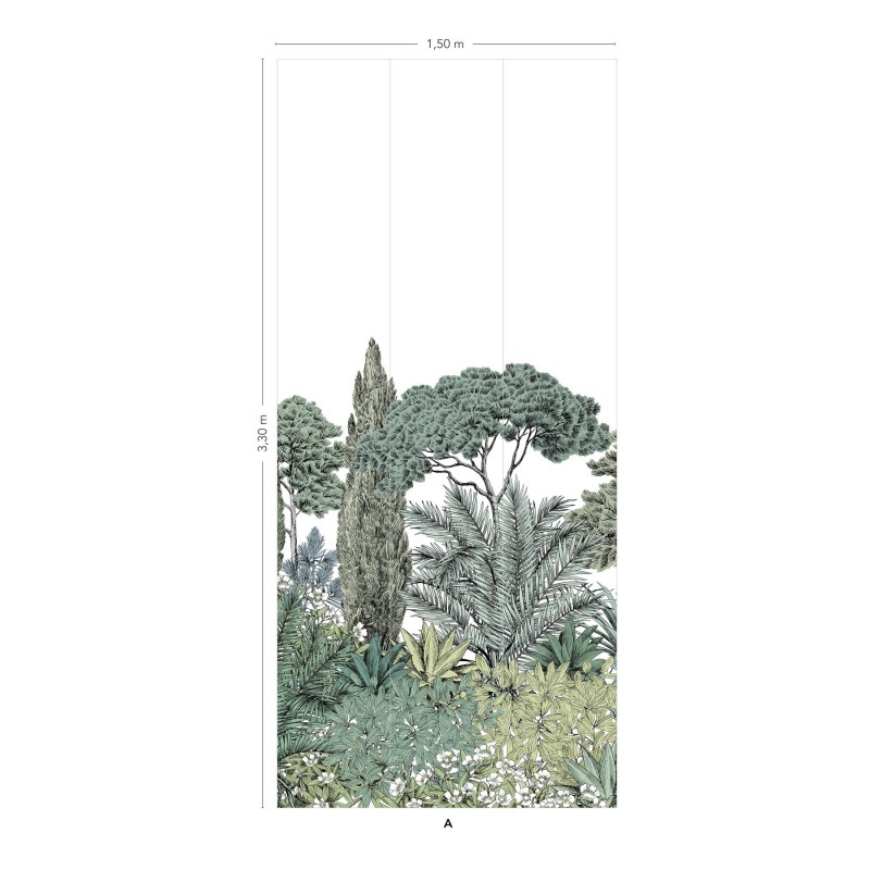 PANORAMIQUE PINS PARASOLS couleur