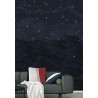 Panoramique Nuit étoilée