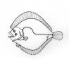 TURBOT en fil de fer