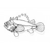 poisson fil de fer