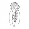 MEDUSE en fil de fer
