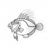 poisson saint pierre en fil de fer