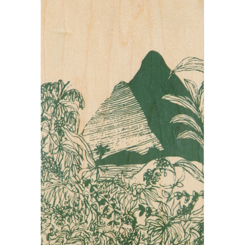 carte en bois woodhi