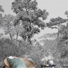 papier peint panoramique ISIDORE LEROY
