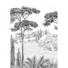 PANORAMIQUE Péninsule