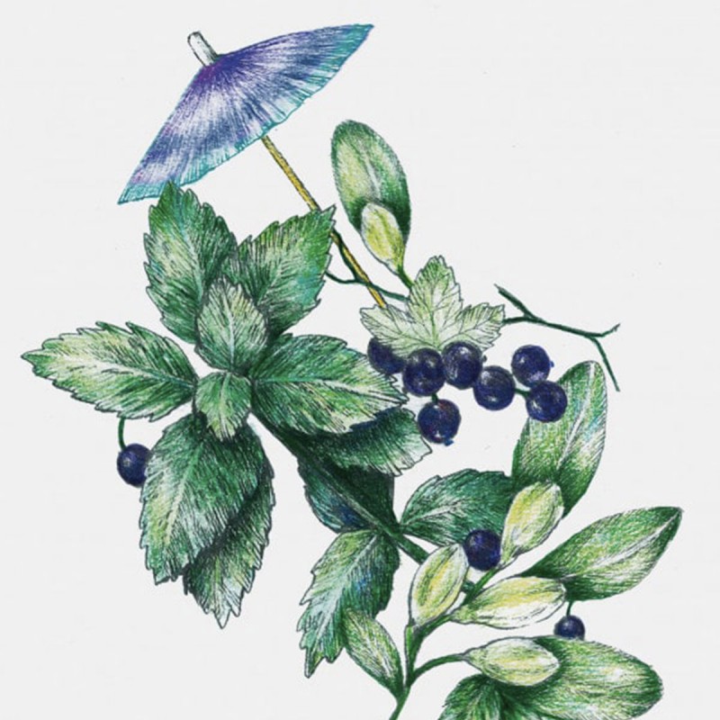 Bougie parfumée Menthe Poivrée - Kerzon