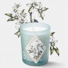 Bougie parfumée Fleur d'Oranger - Kerzon