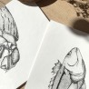 Illustration Poisson faite à la main - Marinette Décoration