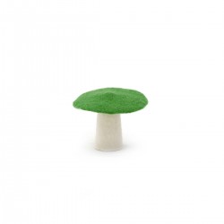 Champignon S - couleur chlorophylle